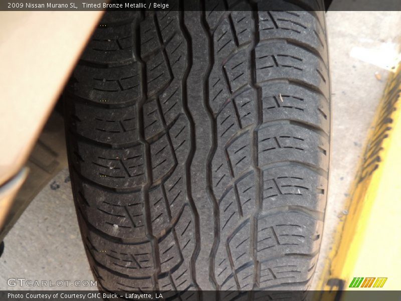 Tinted Bronze Metallic / Beige 2009 Nissan Murano SL