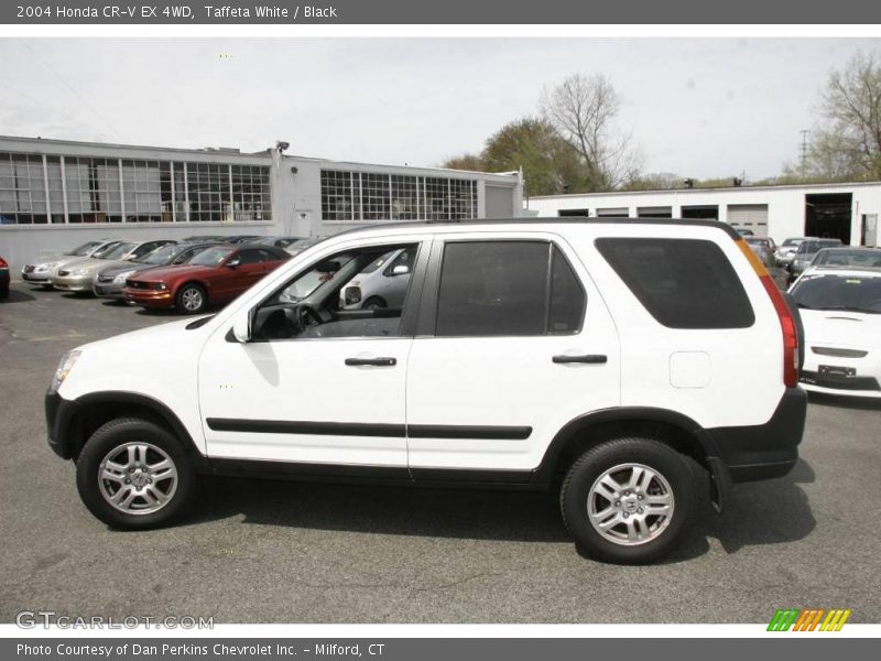 Taffeta White / Black 2004 Honda CR-V EX 4WD