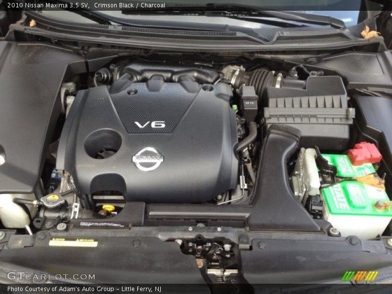Crimson Black / Charcoal 2010 Nissan Maxima 3.5 SV
