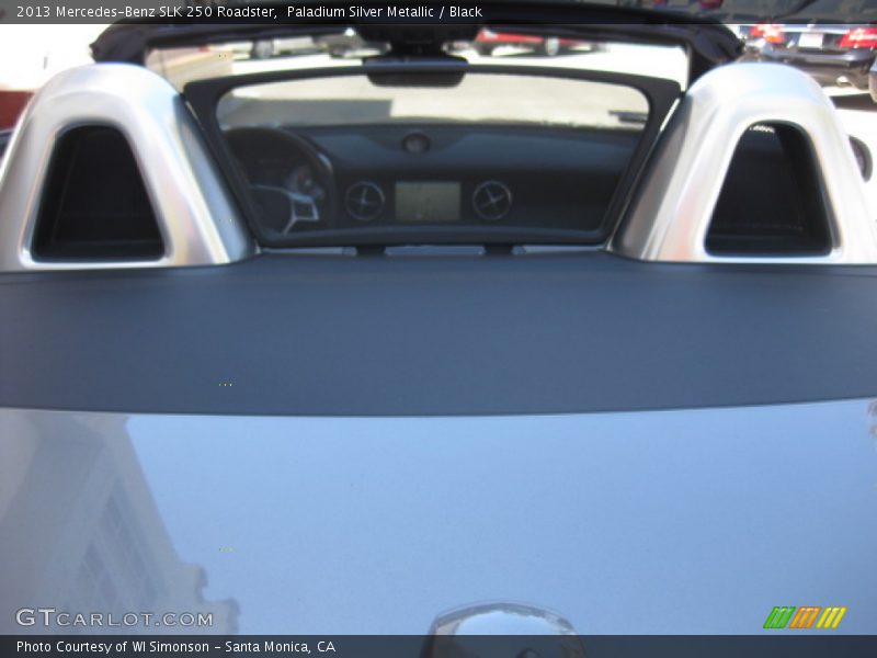 Paladium Silver Metallic / Black 2013 Mercedes-Benz SLK 250 Roadster