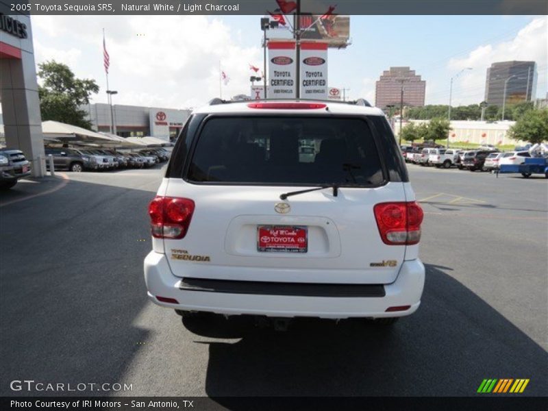 Natural White / Light Charcoal 2005 Toyota Sequoia SR5