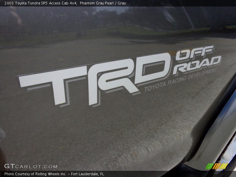 Phantom Gray Pearl / Gray 2003 Toyota Tundra SR5 Access Cab 4x4