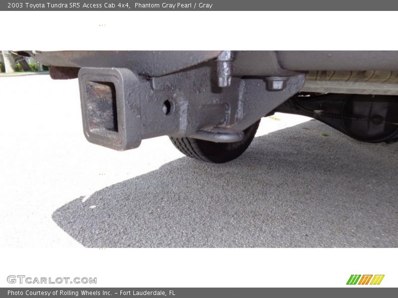 Phantom Gray Pearl / Gray 2003 Toyota Tundra SR5 Access Cab 4x4
