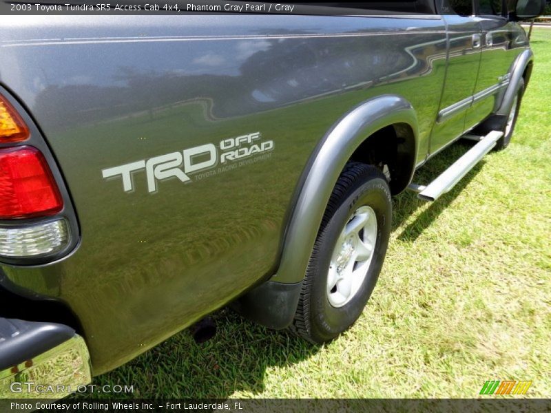 Phantom Gray Pearl / Gray 2003 Toyota Tundra SR5 Access Cab 4x4