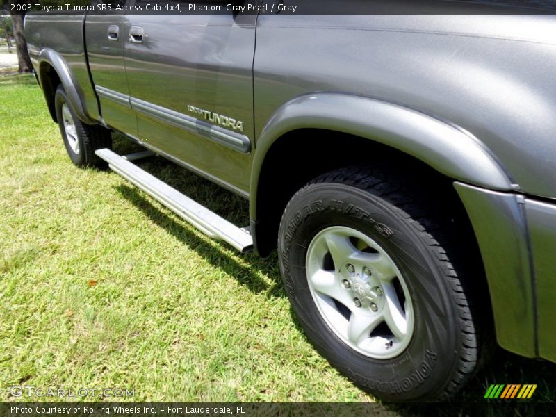 Phantom Gray Pearl / Gray 2003 Toyota Tundra SR5 Access Cab 4x4