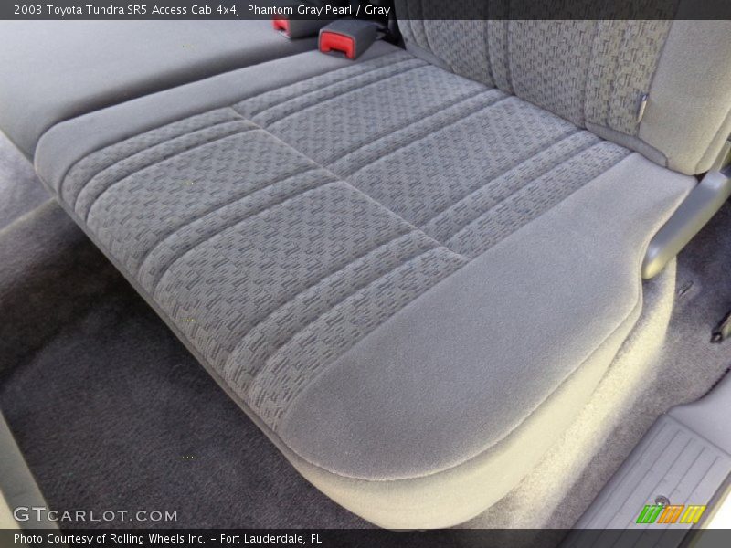 Phantom Gray Pearl / Gray 2003 Toyota Tundra SR5 Access Cab 4x4