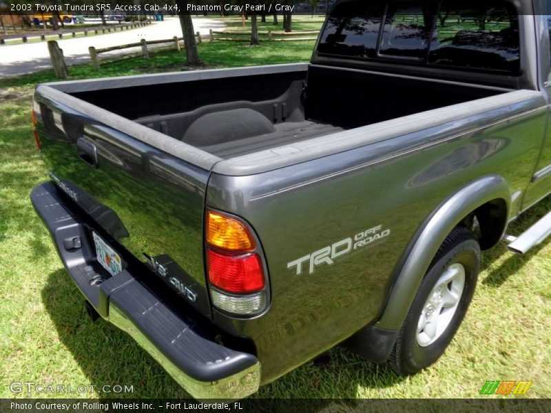 Phantom Gray Pearl / Gray 2003 Toyota Tundra SR5 Access Cab 4x4