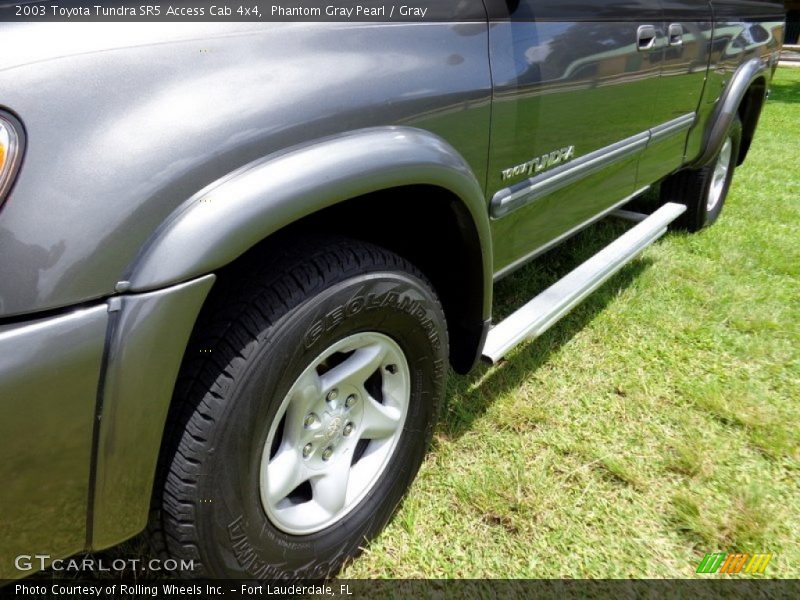Phantom Gray Pearl / Gray 2003 Toyota Tundra SR5 Access Cab 4x4