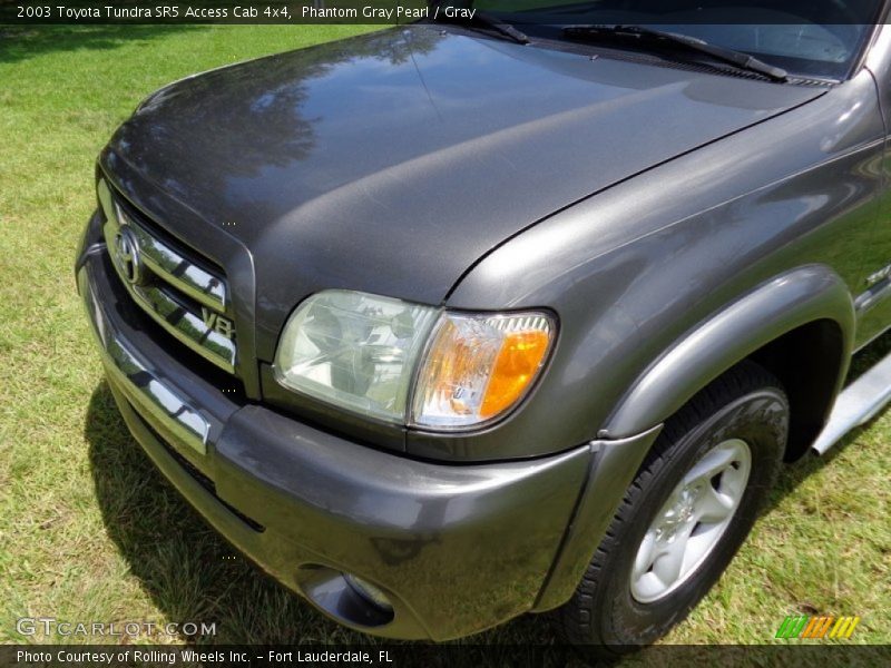 Phantom Gray Pearl / Gray 2003 Toyota Tundra SR5 Access Cab 4x4