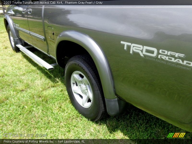 Phantom Gray Pearl / Gray 2003 Toyota Tundra SR5 Access Cab 4x4