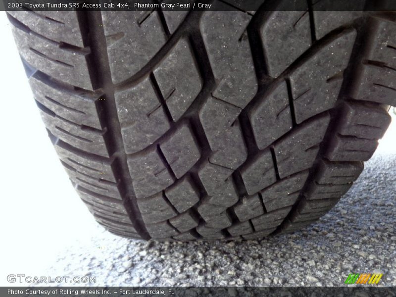 Phantom Gray Pearl / Gray 2003 Toyota Tundra SR5 Access Cab 4x4