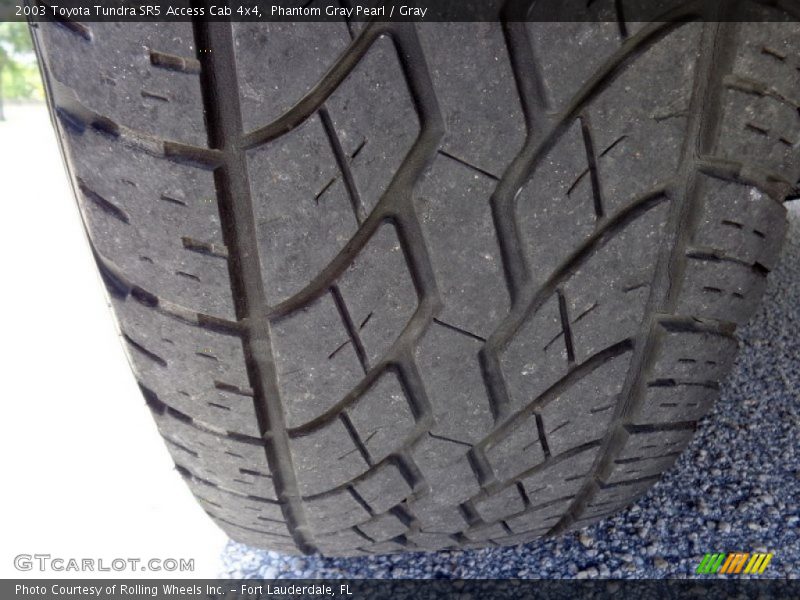 Phantom Gray Pearl / Gray 2003 Toyota Tundra SR5 Access Cab 4x4