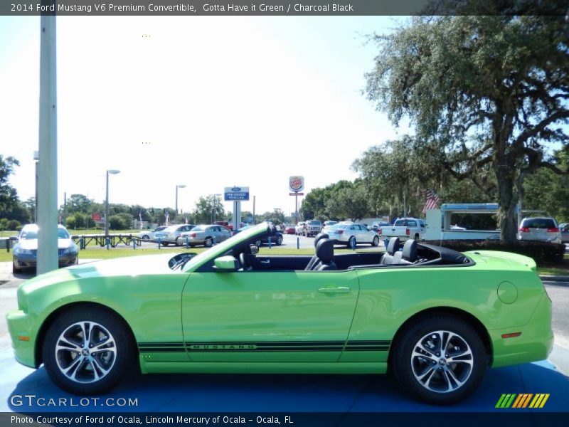  2014 Mustang V6 Premium Convertible Gotta Have it Green