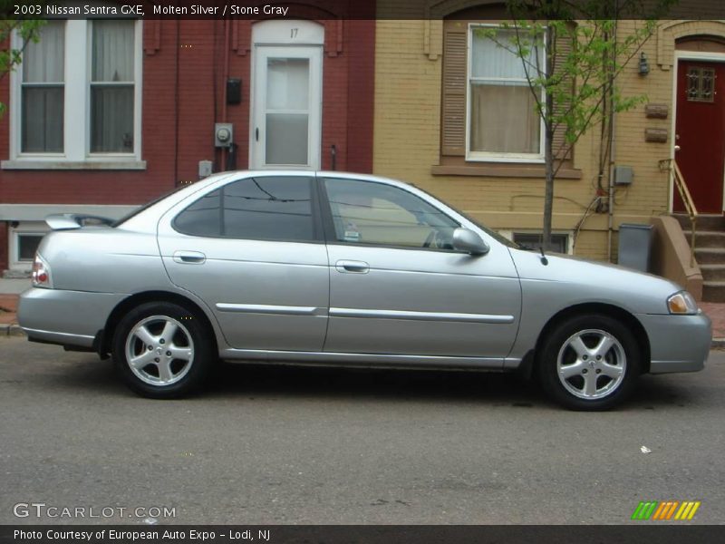 Molten Silver / Stone Gray 2003 Nissan Sentra GXE
