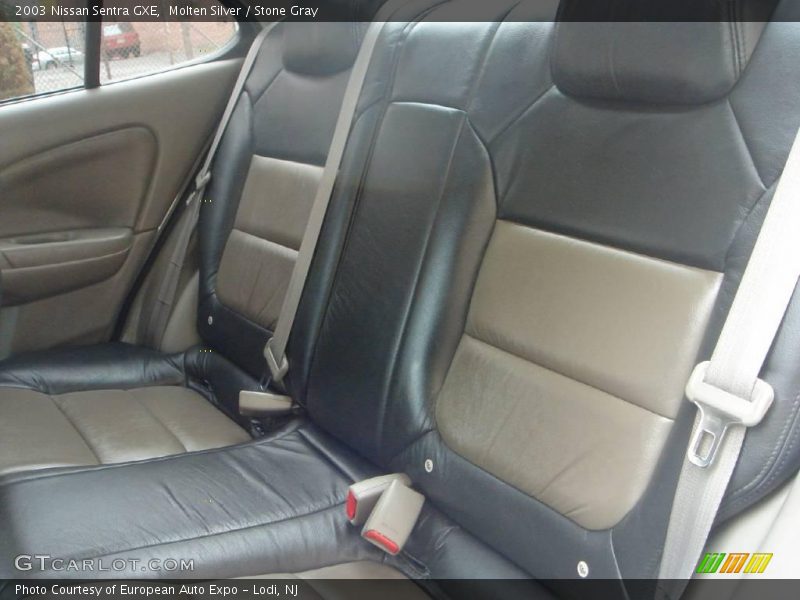 Molten Silver / Stone Gray 2003 Nissan Sentra GXE