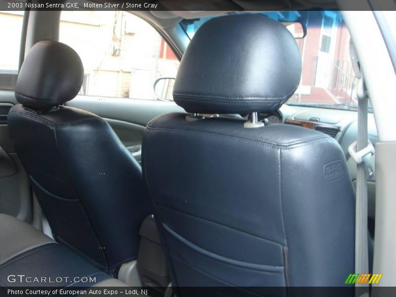 Molten Silver / Stone Gray 2003 Nissan Sentra GXE