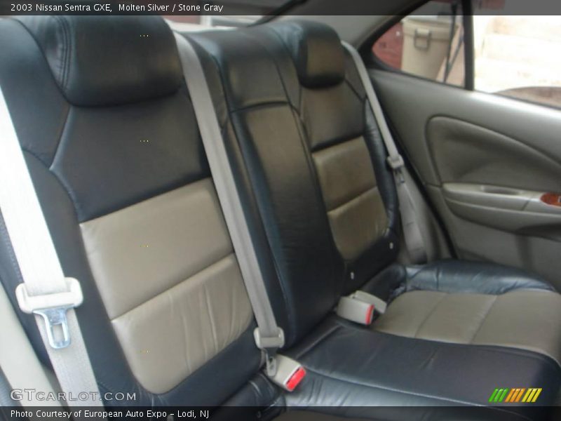 Molten Silver / Stone Gray 2003 Nissan Sentra GXE