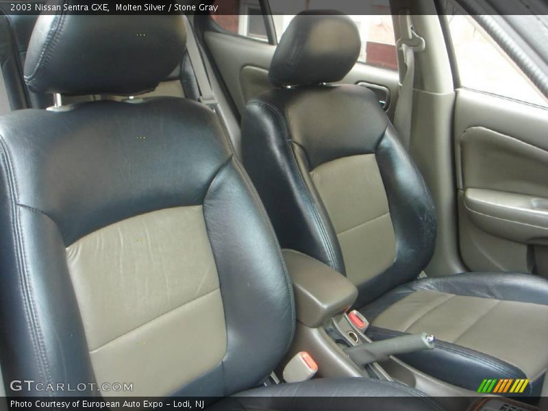 Molten Silver / Stone Gray 2003 Nissan Sentra GXE