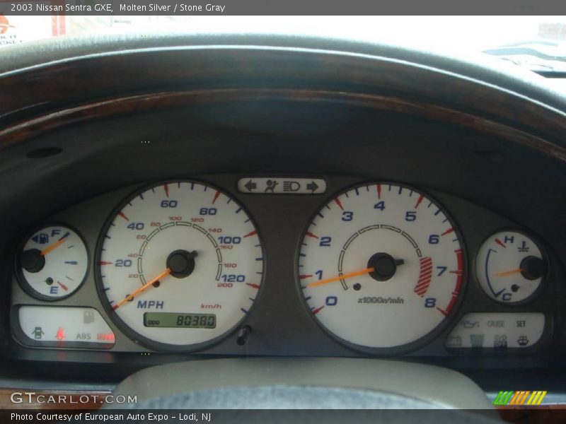 Molten Silver / Stone Gray 2003 Nissan Sentra GXE