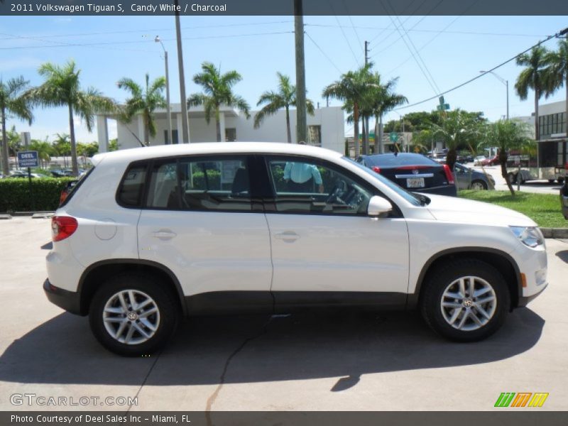 Candy White / Charcoal 2011 Volkswagen Tiguan S