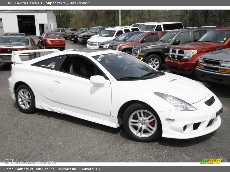 Super White / Black/Black 2003 Toyota Celica GT