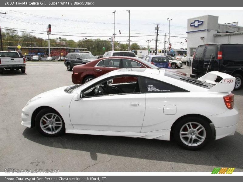 Super White / Black/Black 2003 Toyota Celica GT