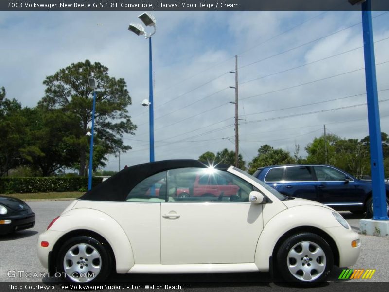 Harvest Moon Beige / Cream 2003 Volkswagen New Beetle GLS 1.8T Convertible