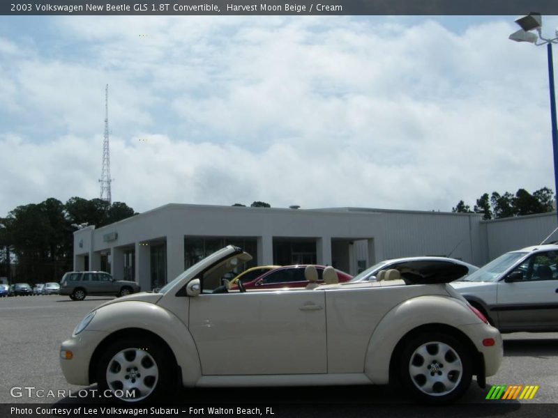 Harvest Moon Beige / Cream 2003 Volkswagen New Beetle GLS 1.8T Convertible