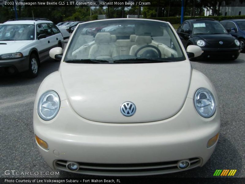Harvest Moon Beige / Cream 2003 Volkswagen New Beetle GLS 1.8T Convertible
