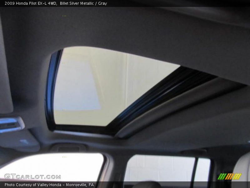 Billet Silver Metallic / Gray 2009 Honda Pilot EX-L 4WD