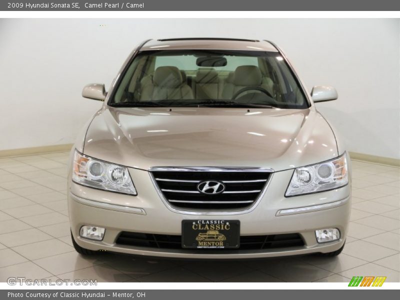 Camel Pearl / Camel 2009 Hyundai Sonata SE