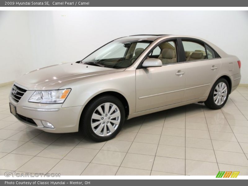 Camel Pearl / Camel 2009 Hyundai Sonata SE