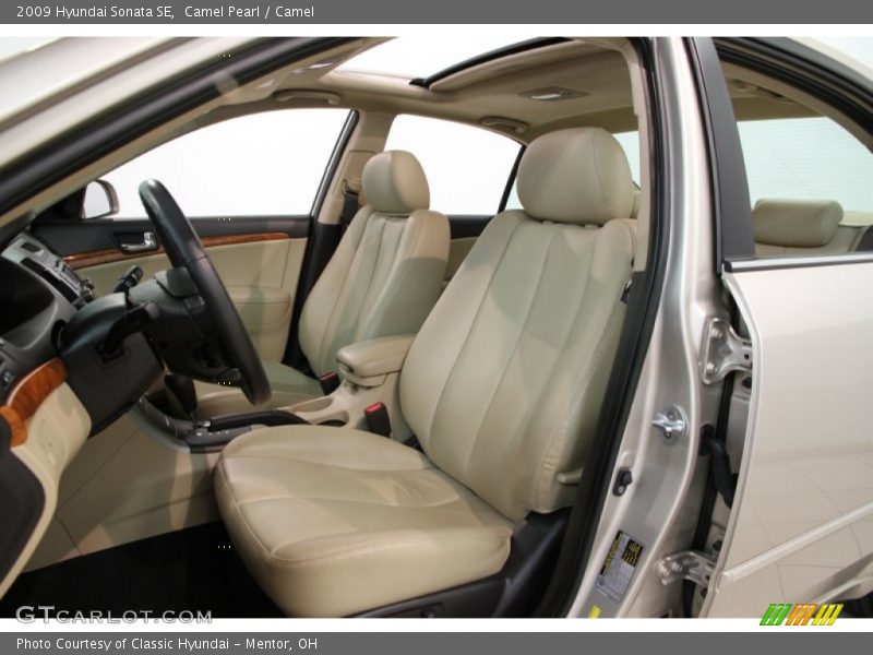 Camel Pearl / Camel 2009 Hyundai Sonata SE