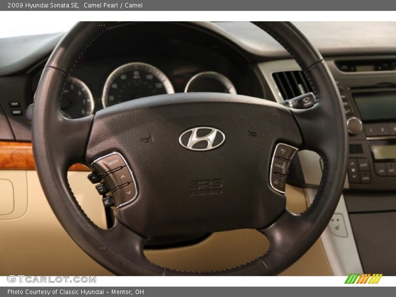 Camel Pearl / Camel 2009 Hyundai Sonata SE