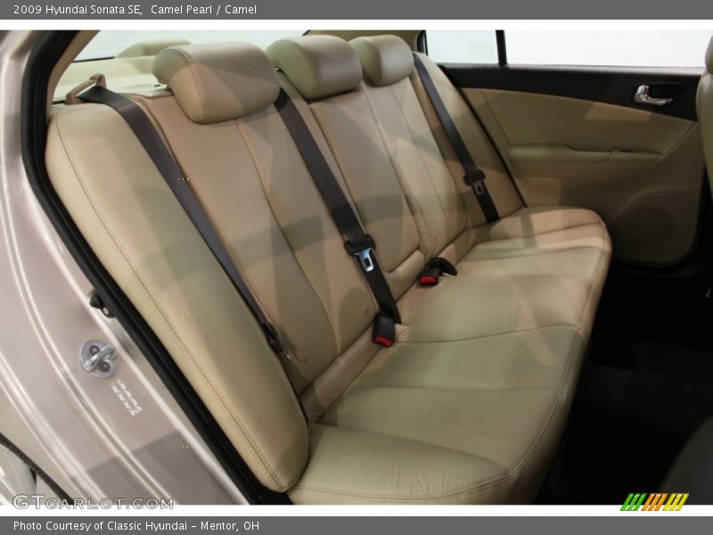 Camel Pearl / Camel 2009 Hyundai Sonata SE