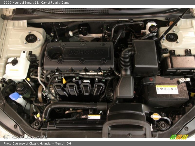Camel Pearl / Camel 2009 Hyundai Sonata SE