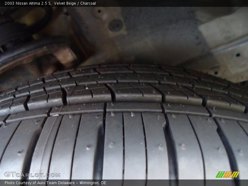 Velvet Beige / Charcoal 2003 Nissan Altima 2.5 S