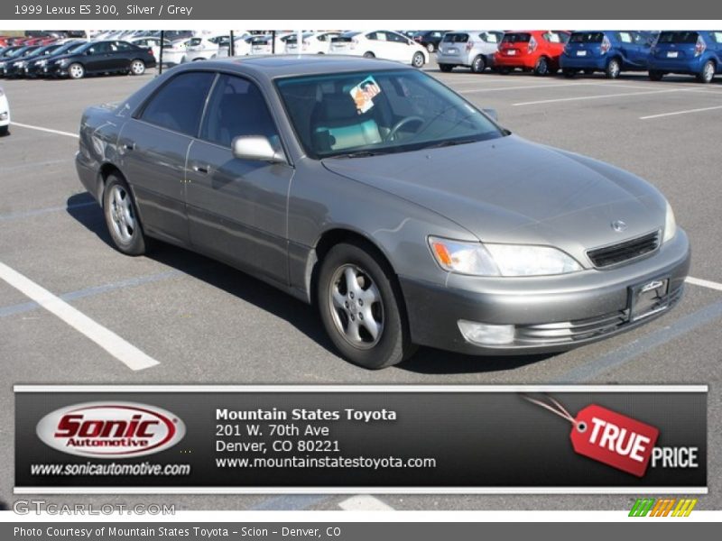 Silver / Grey 1999 Lexus ES 300