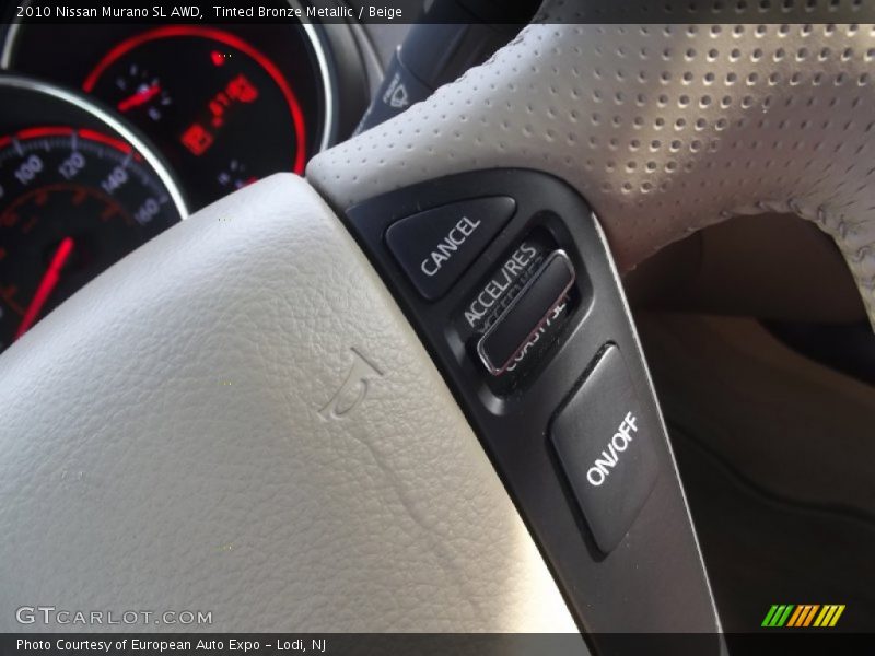 Tinted Bronze Metallic / Beige 2010 Nissan Murano SL AWD