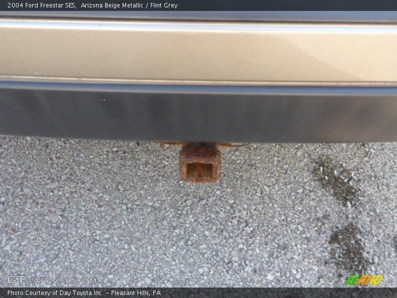 Arizona Beige Metallic / Flint Grey 2004 Ford Freestar SES