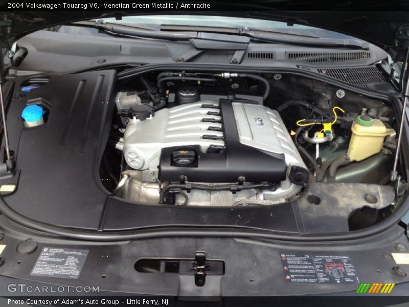 Venetian Green Metallic / Anthracite 2004 Volkswagen Touareg V6