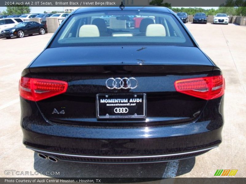 Brilliant Black / Velvet Beige/Black 2014 Audi A4 2.0T Sedan