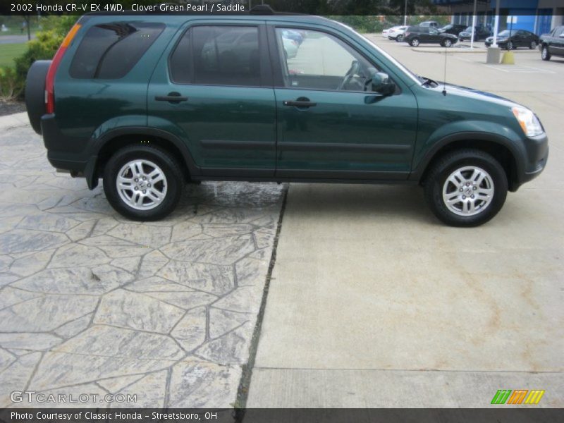 Clover Green Pearl / Saddle 2002 Honda CR-V EX 4WD