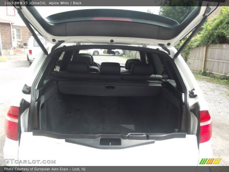 Alpine White / Black 2009 BMW X5 xDrive30i