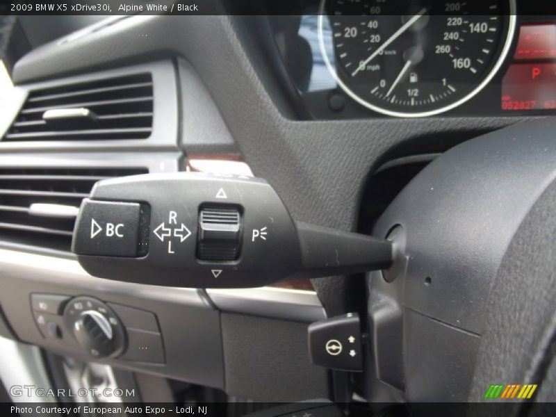 Alpine White / Black 2009 BMW X5 xDrive30i