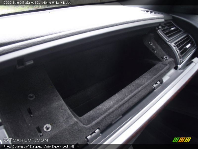 Alpine White / Black 2009 BMW X5 xDrive30i