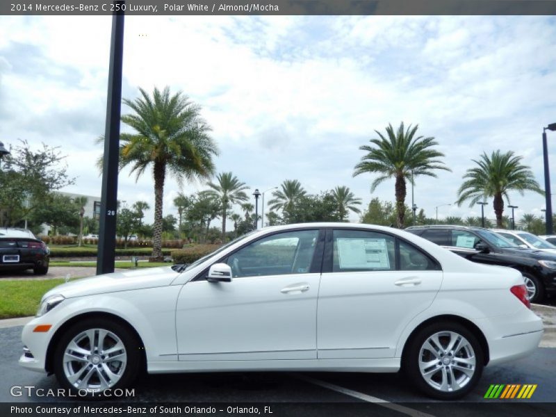 Polar White / Almond/Mocha 2014 Mercedes-Benz C 250 Luxury