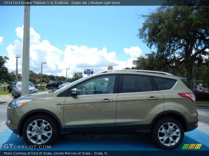  2014 Escape Titanium 2.0L EcoBoost Ginger Ale