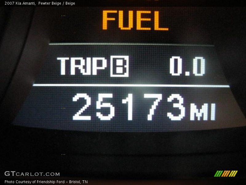Pewter Beige / Beige 2007 Kia Amanti