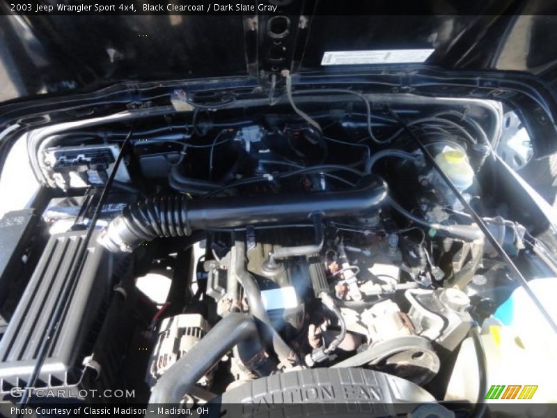 Black Clearcoat / Dark Slate Gray 2003 Jeep Wrangler Sport 4x4